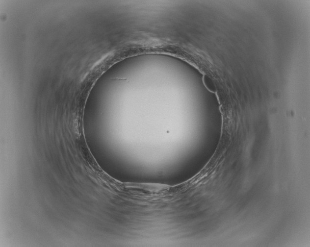 X0000075401205200609291633