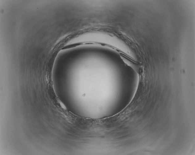 X0000075401206200609291633