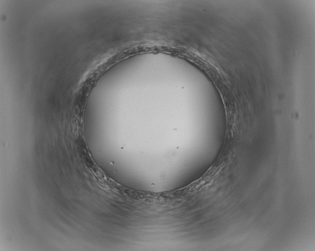 X0000075401207200609291633