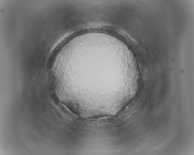 X0000075401208200609291633