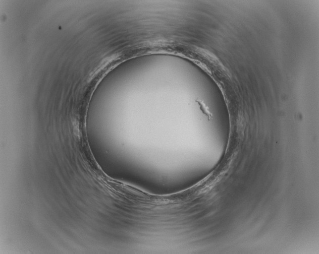 X0000075401209200609291633