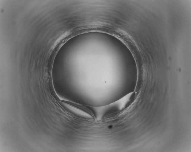 X0000075401210200609291633