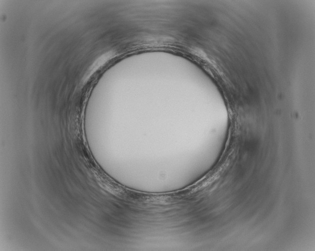 X0000075401211200609291633