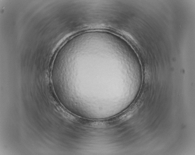 X0000075401212200609291633