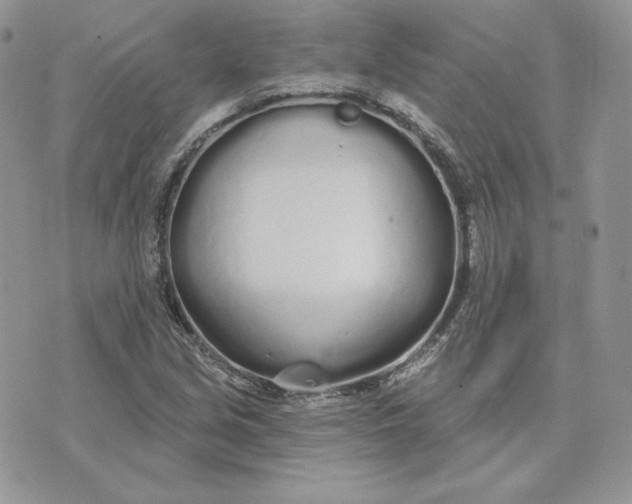 X0000075401213200609291633