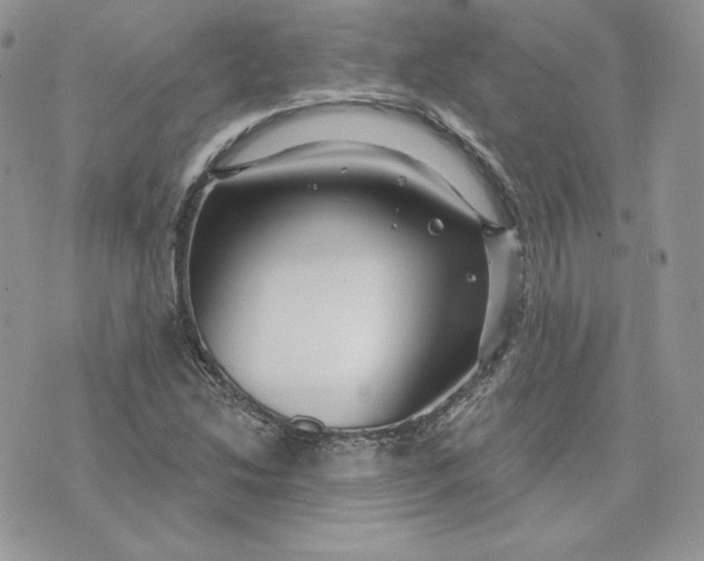 X0000075401214200609291633