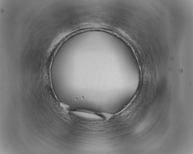 X0000075401215200609291633