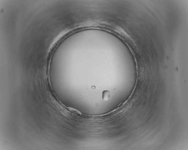 X0000075401216200609291633