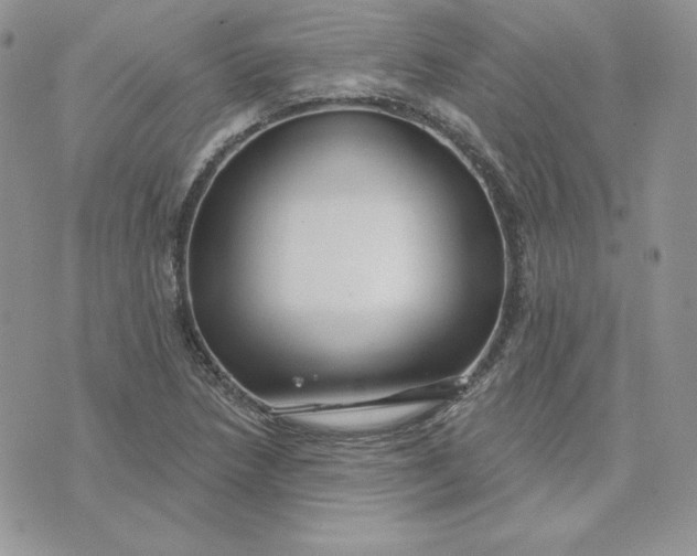 X0000075401218200609291633