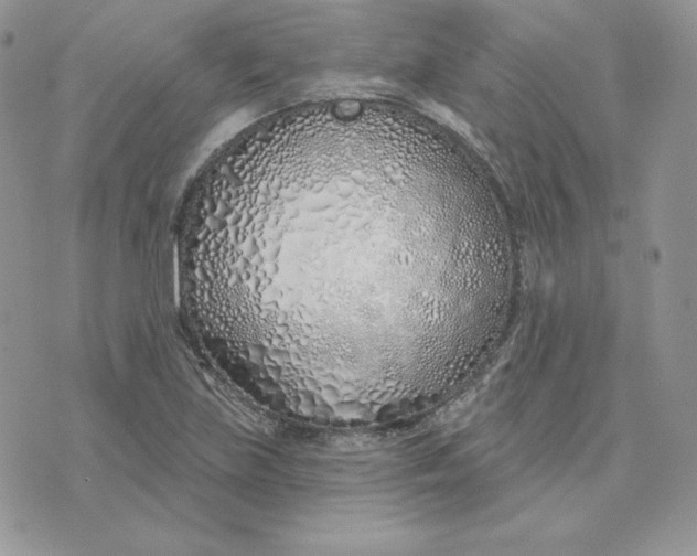 X0000075401219200609291633