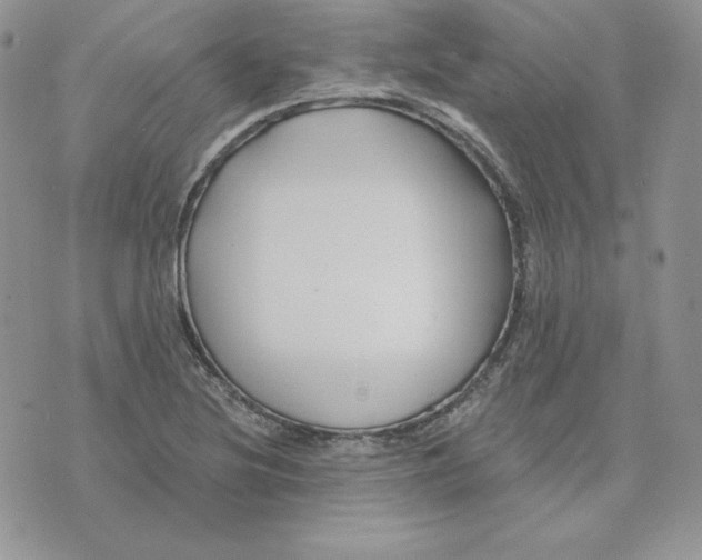 X0000075401220200609291633