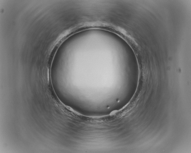 X0000075401221200609291633