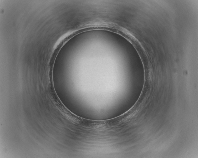 X0000075401222200609291633