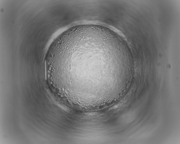 X0000075401223200609291633