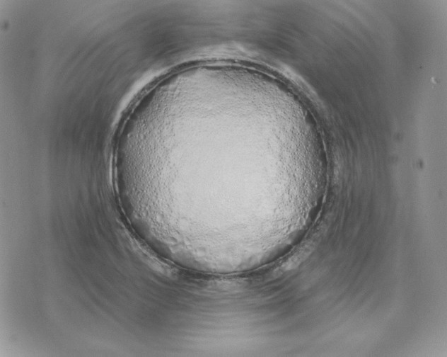 X0000075401224200609291633