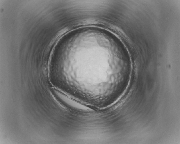 X0000075401225200609291633