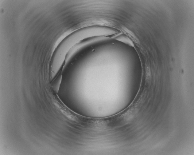 X0000075401226200609291633