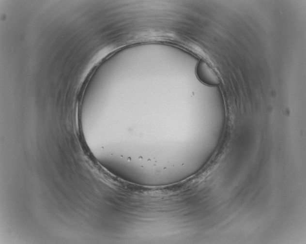 X0000075401227200609291633