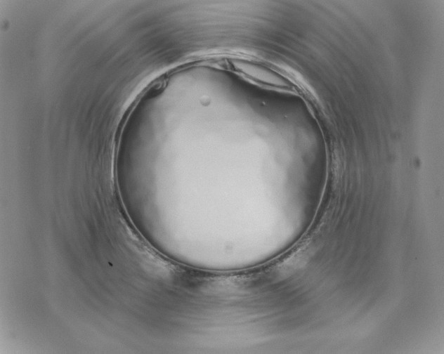 X0000075401228200609291633