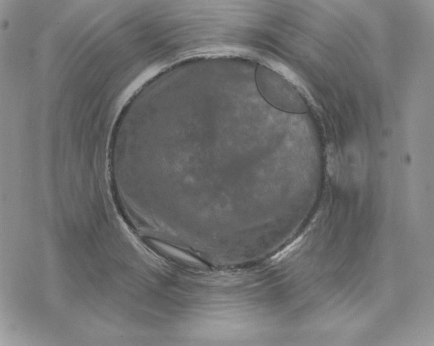 X0000075401229200609291633