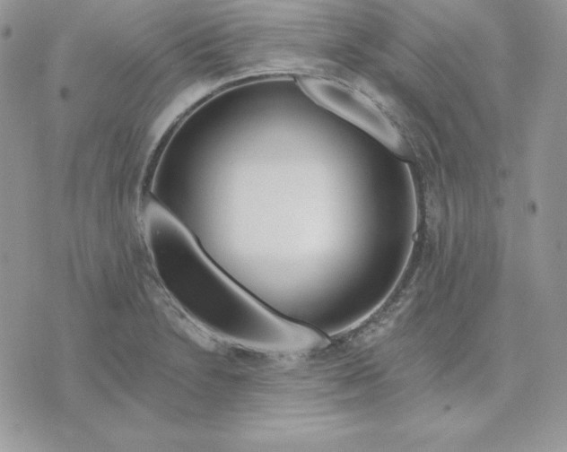 X0000075401230200609291633