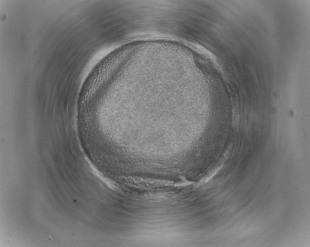 X0000075401231200609291633