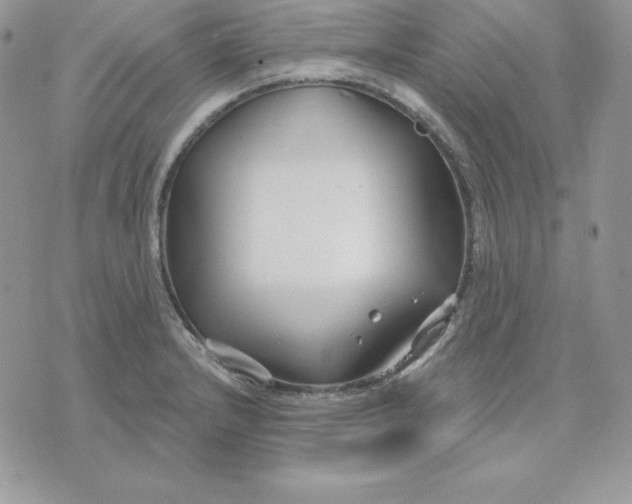 X0000075401232200609291633