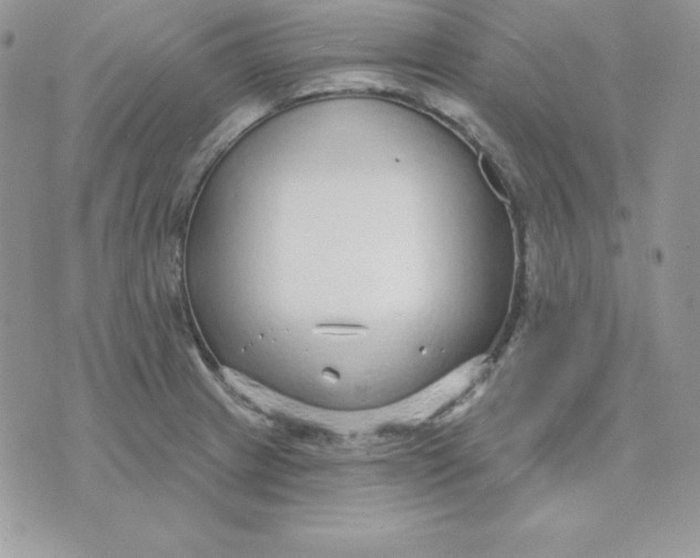 X0000075401233200609291633