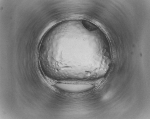 X0000075401235200609291633