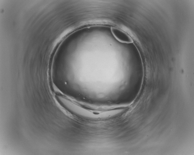 X0000075401237200609291633