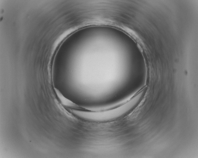 X0000075401238200609291633