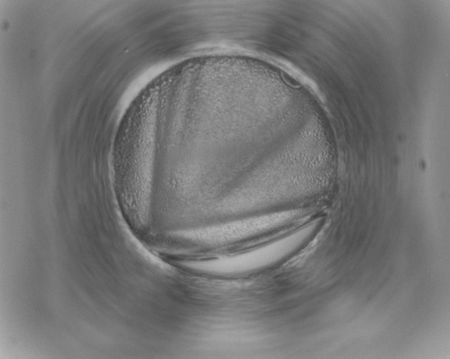 X0000075401239200609291633