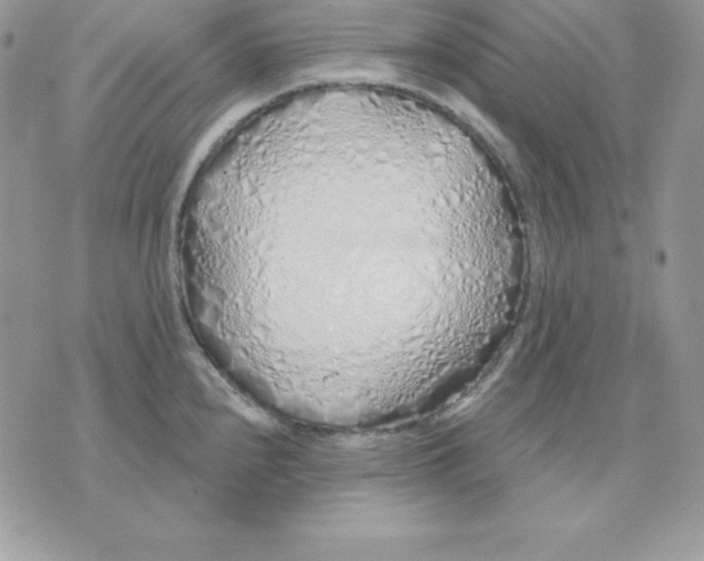 X0000075401240200609291633