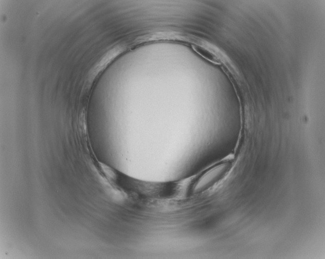 X0000075401241200609291633