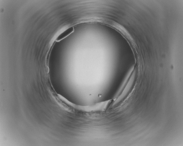 X0000075401242200609291633