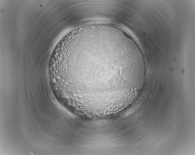 X0000075401243200609291633