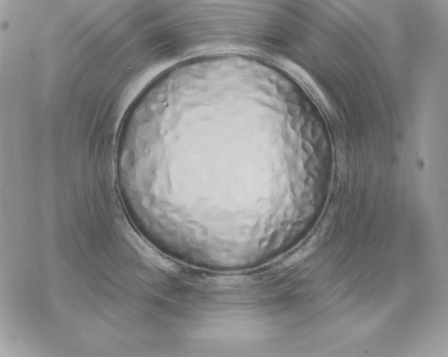 X0000075401244200609291633