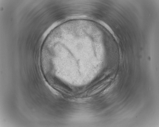 X0000075401245200609291633