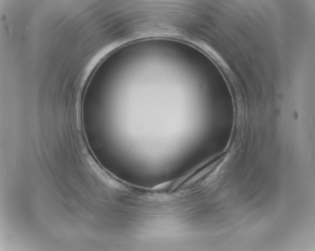 X0000075401246200609291633