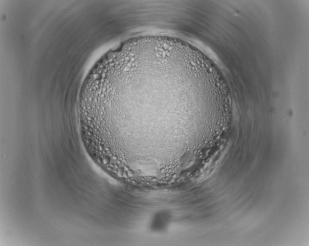 X0000075401247200609291633