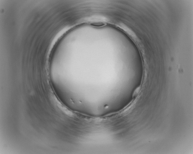 X0000075401248200609291633