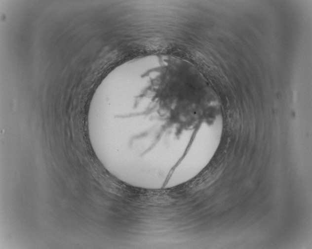 X0000075401249200609291632