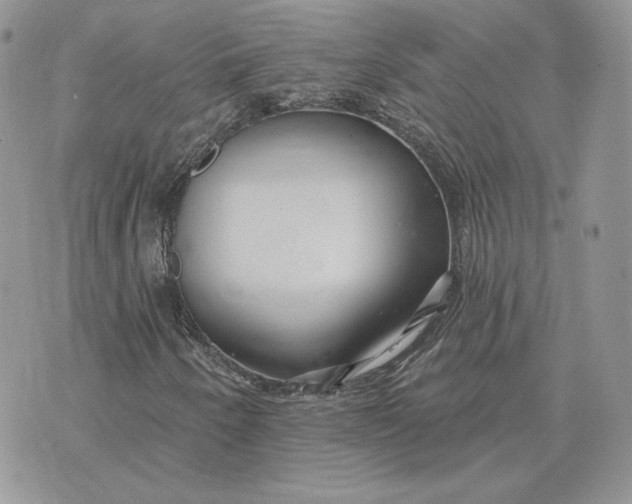 X0000075401250200609291632