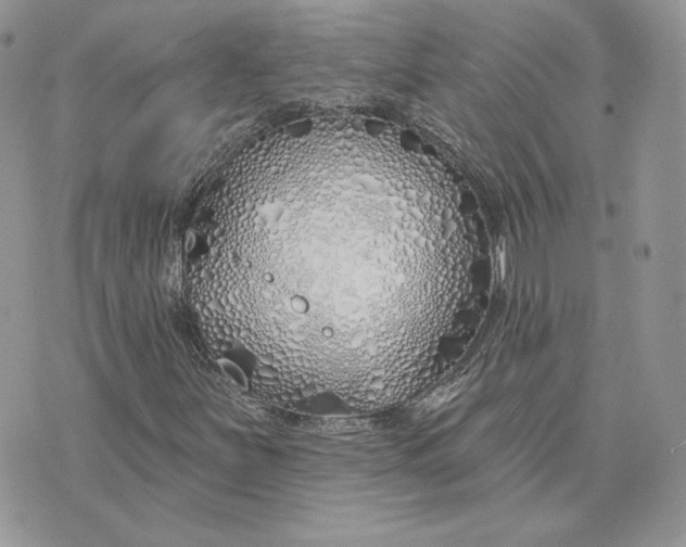 X0000075401251200609291632