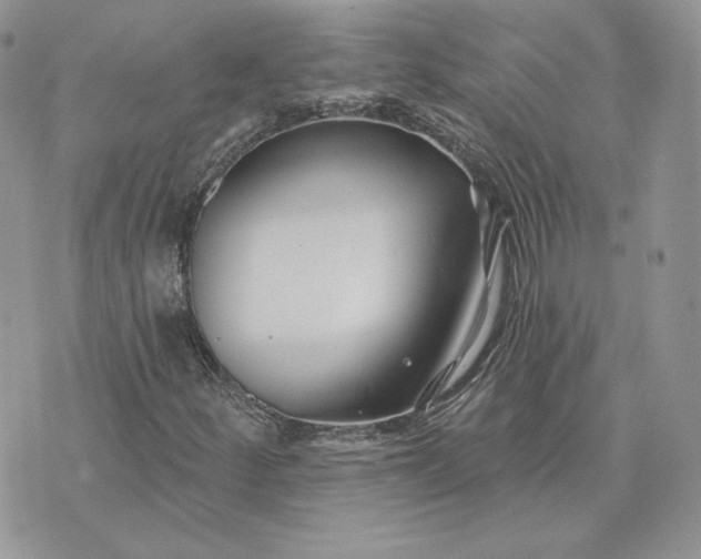 X0000075401252200609291632