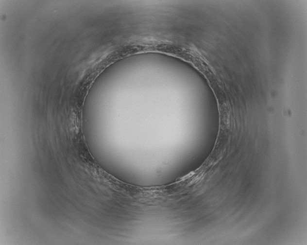 X0000075401253200609291632