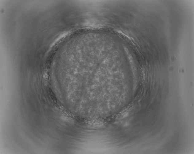 X0000075401254200609291632