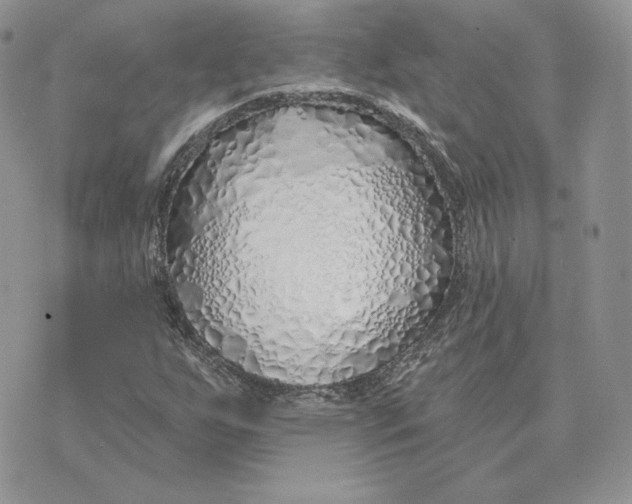 X0000075401255200609291632