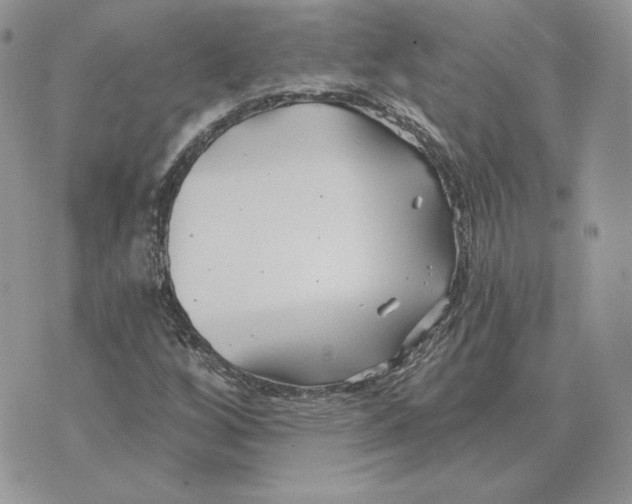 X0000075401256200609291632