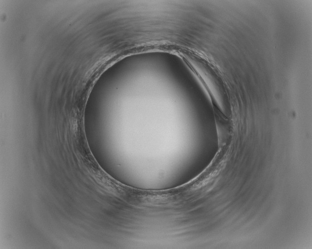 X0000075401257200609291632